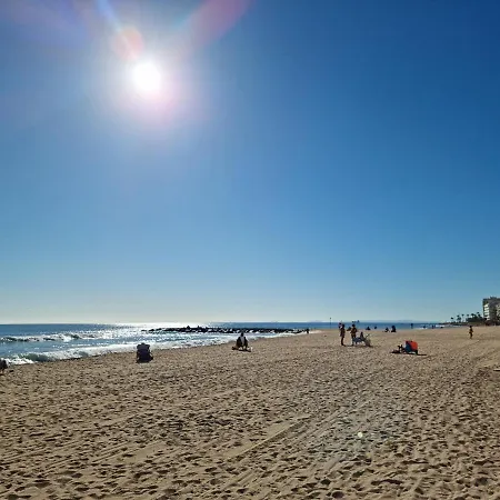 Cozy 200m From The Torrevieja